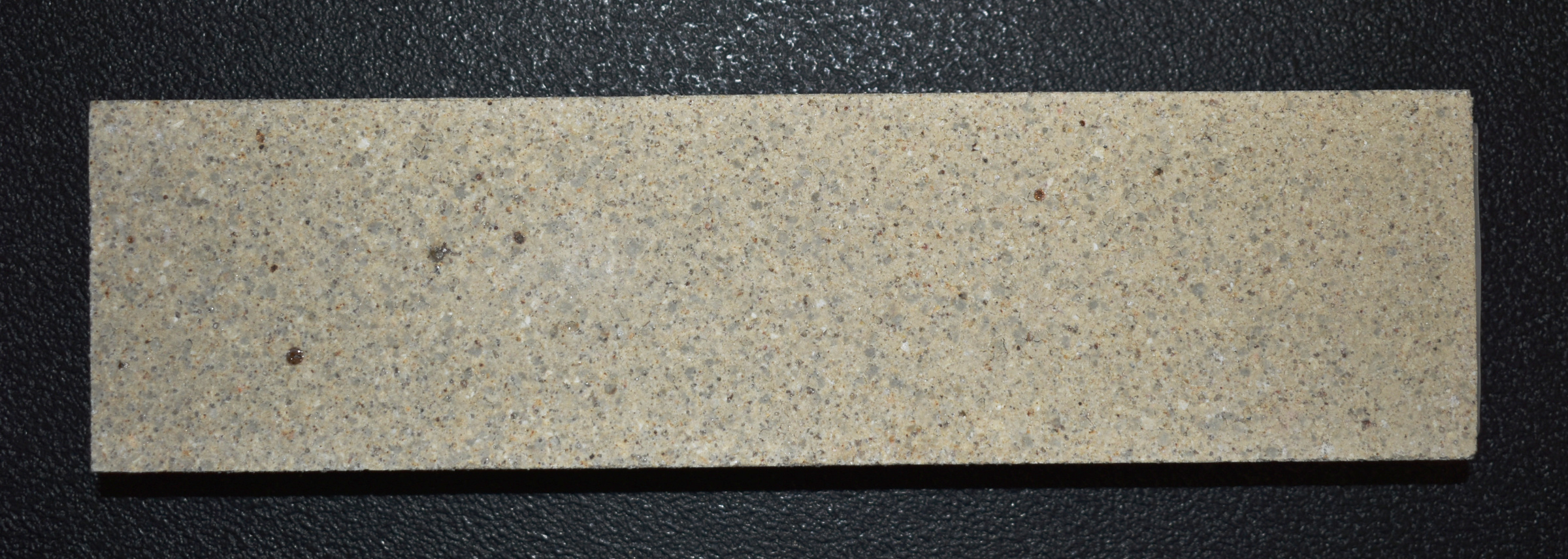 Thorma Sanderford Bodenstein hinten